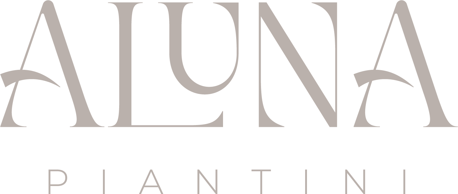 Aluna Piantini